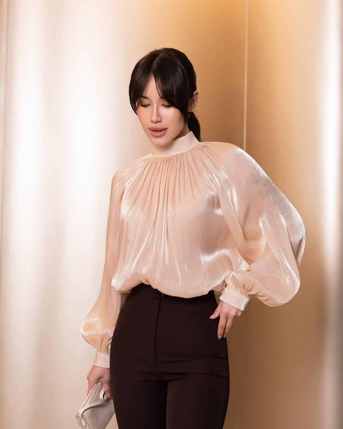 Sheer Chiffon Organza Blouse with Dramatic Long Sleeves