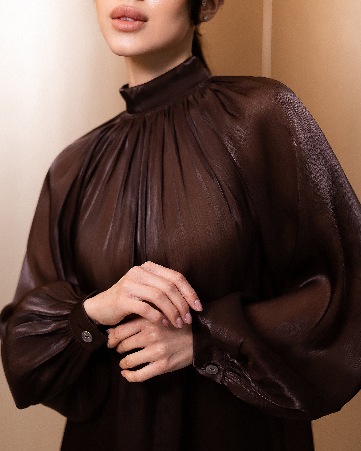 Sheer Chiffon Organza Blouse with Dramatic Long Sleeves